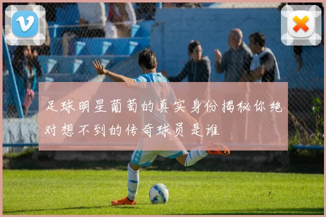 足球明星葡萄的真实身份揭秘你绝对想不到的传奇球员是谁