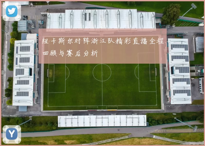 纽卡斯尔对阵浙江队精彩直播全程回顾与赛后分析
