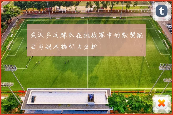 武汉乒乓球队在挑战赛中的默契配合与战术执行力分析