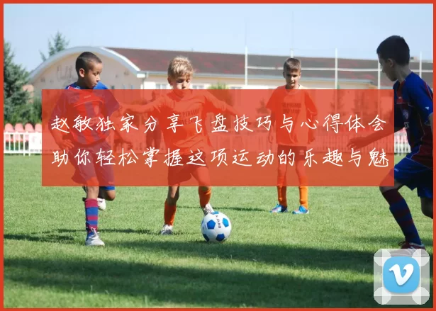 赵敏独家分享飞盘技巧与心得体会助你轻松掌握这项运动的乐趣与魅力