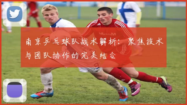 南京乒乓球队战术解析：聚焦技术与团队协作的完美结合
