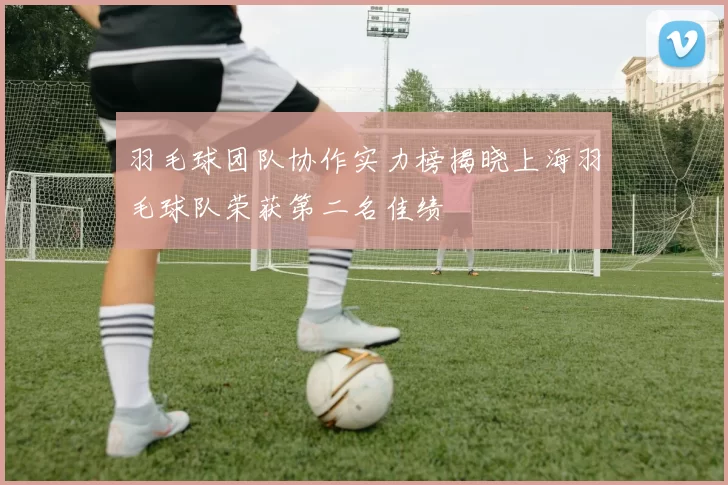 羽毛球团队协作实力榜揭晓上海羽毛球队荣获第二名佳绩