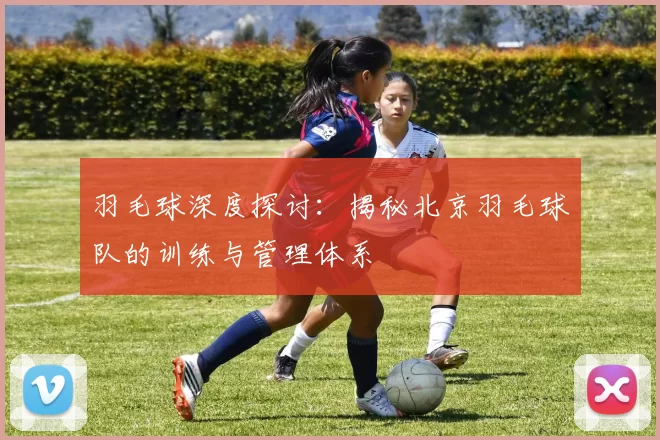 羽毛球深度探讨：揭秘北京羽毛球队的训练与管理体系