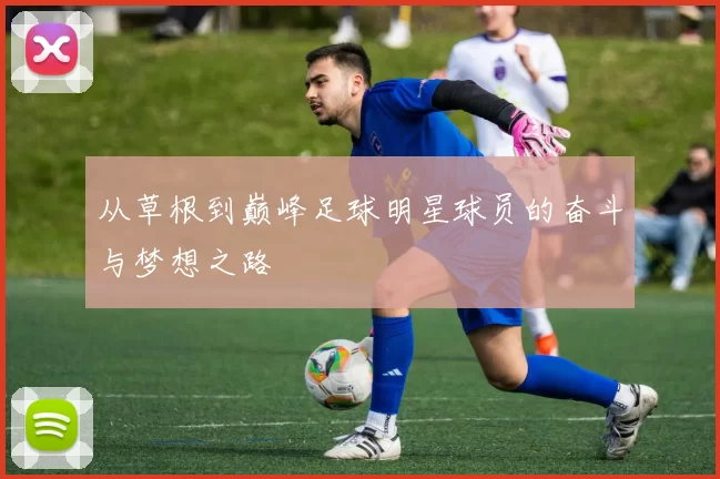 从草根到巅峰足球明星球员的奋斗与梦想之路