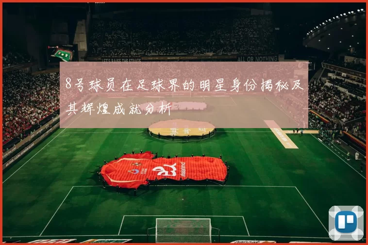 8号球员在足球界的明星身份揭秘及其辉煌成就分析
