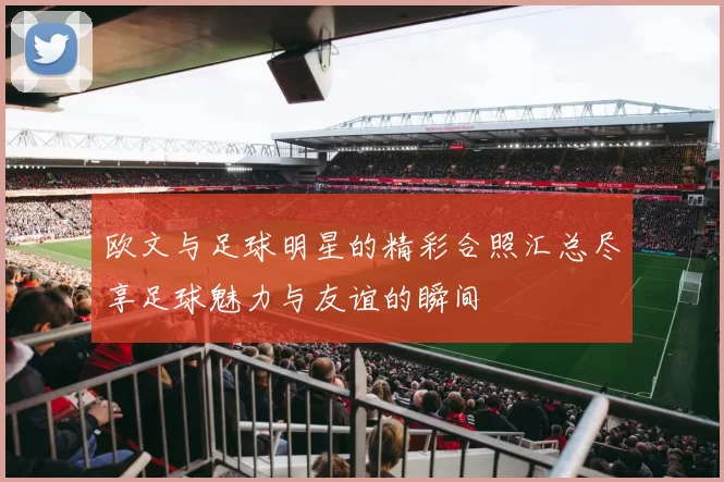 欧文与足球明星的精彩合照汇总尽享足球魅力与友谊的瞬间