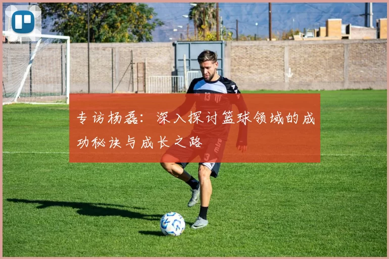 专访杨磊：深入探讨篮球领域的成功秘诀与成长之路