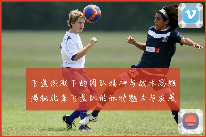 飞盘热潮下的团队精神与战术思维揭秘北京飞盘队的独特魅力与发展之路
