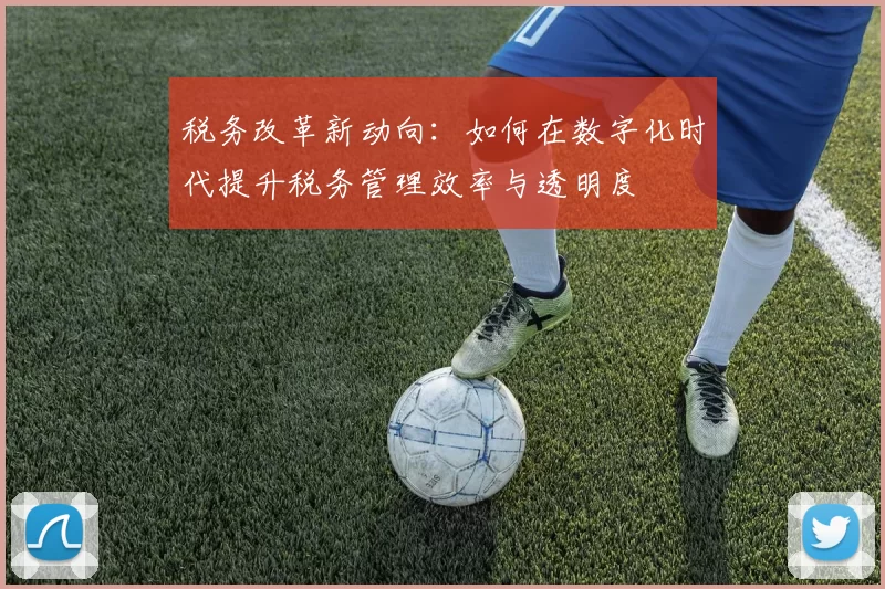 税务改革新动向：如何在数字化时代提升税务管理效率与透明度