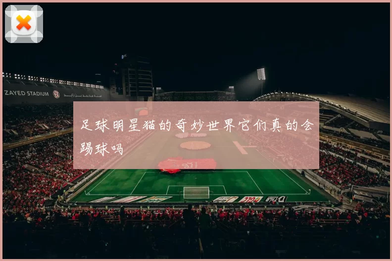 足球明星猫的奇妙世界它们真的会踢球吗