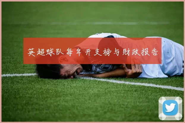 英超球队每年开支榜与财政报告