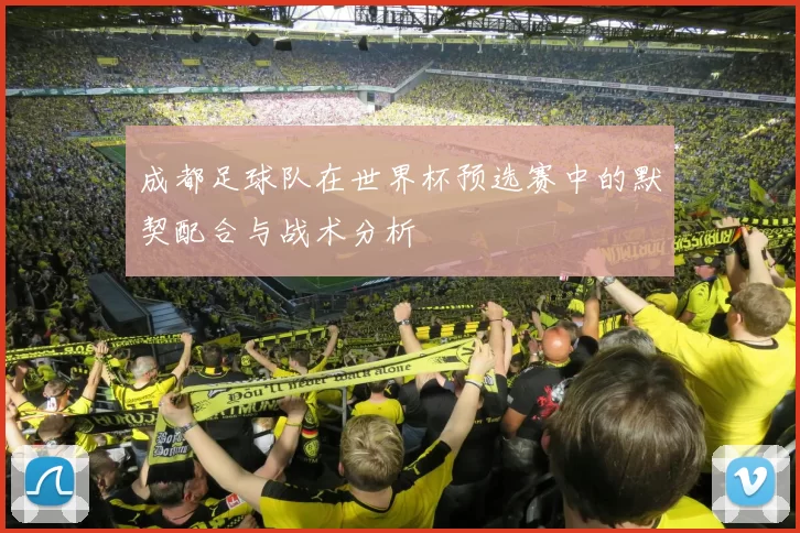 成都足球队在世界杯预选赛中的默契配合与战术分析