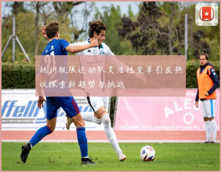 杭州极限运动队灵活性变革引发热议探索新趋势与挑战