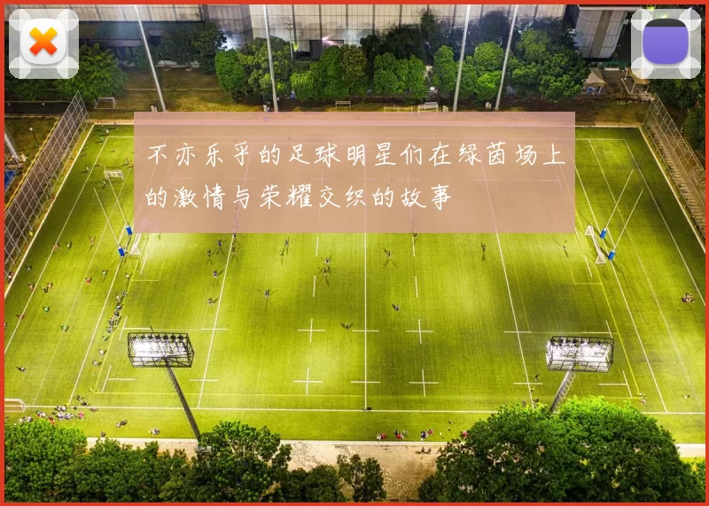 不亦乐乎的足球明星们在绿茵场上的激情与荣耀交织的故事
