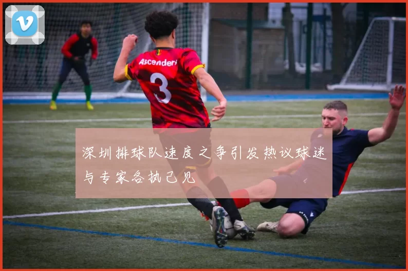 深圳排球队速度之争引发热议球迷与专家各执己见