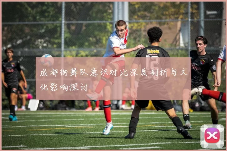成都街舞队意识对比深度剖析与文化影响探讨