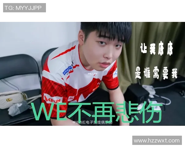 赛后复盘分析：WE与FPX对决中的战术意识与团队协作探讨